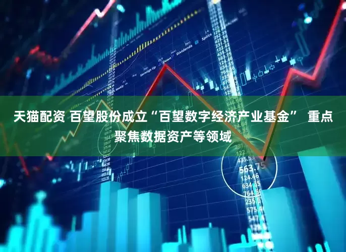 天猫配资 百望股份成立“百望数字经济产业基金”  重点聚焦数据资产等领域